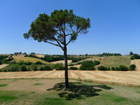 P1050255